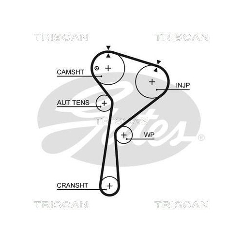TRISCAN Zahnriemen 8645 5675XS