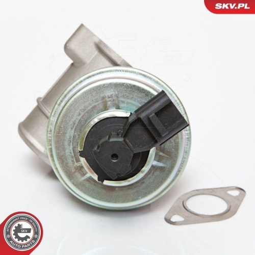 ESEN SKV AGR-Ventil 14SKV061