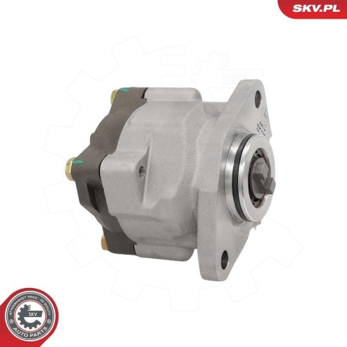 ESEN SKV Hydraulikpumpe, Lenkung 10SKV318