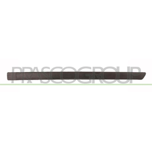 PRASCO Zier-/Schutzleiste, T&uuml;r FD4241454