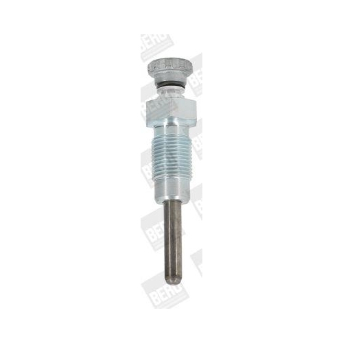 BorgWarner (BERU) Gl&uuml;hkerze GV119