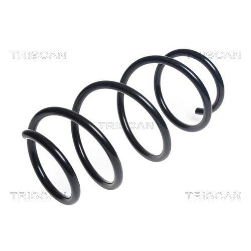 TRISCAN Fahrwerksfeder 8750 13211