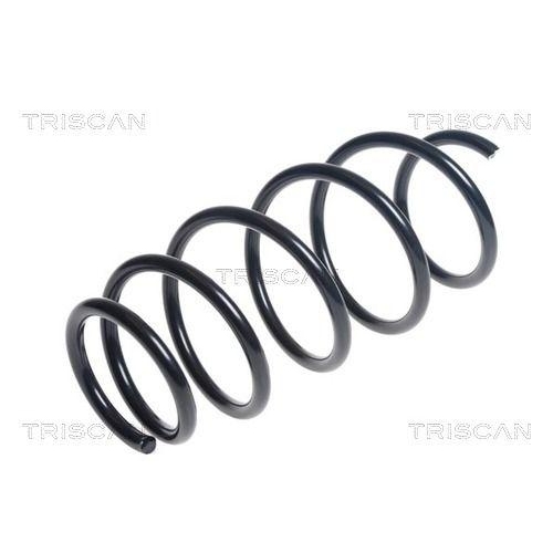 TRISCAN Fahrwerksfeder 8750 13215