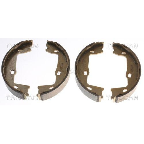 TRISCAN Bremsbackensatz, Feststellbremse 8100 24005