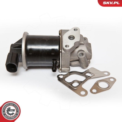 ESEN SKV AGR-Ventil 14SKV074