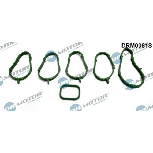 Dr.Motor Automotive Dichtungssatz, Ansaugkr&uuml;mmer