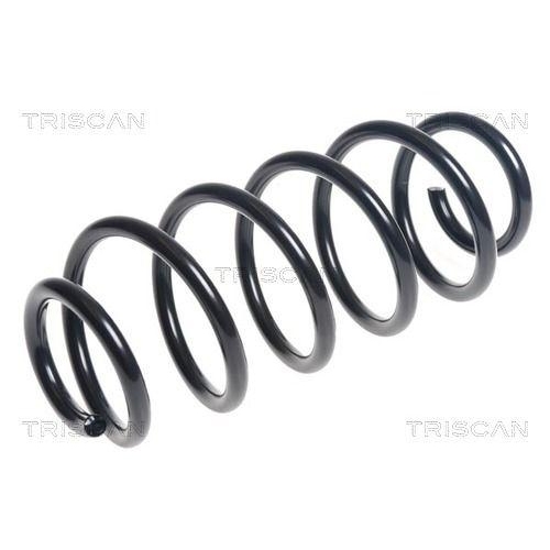 TRISCAN Fahrwerksfeder 8750 13225