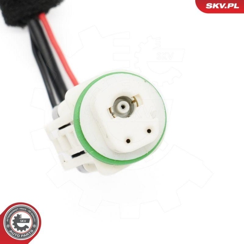 ESEN SKV Schalter, Heckklappe 96SKV253