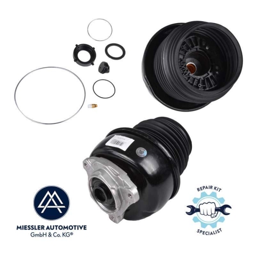 LUFTFEDER Miessler Automotive 11013-01-3138