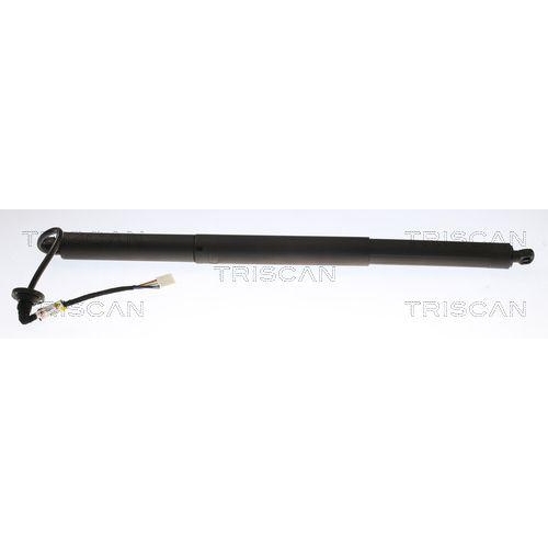 TRISCAN Gasfeder, Koffer-/Laderaum 8710 81205