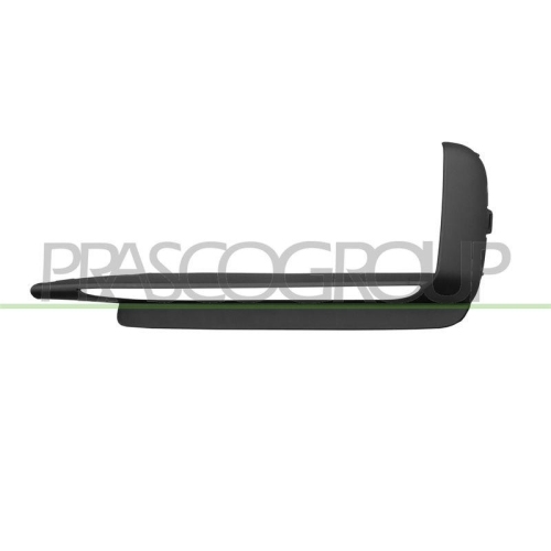 PRASCO Zier-/Schutzleiste, Sto&szlig;f&auml;nger PR8281233