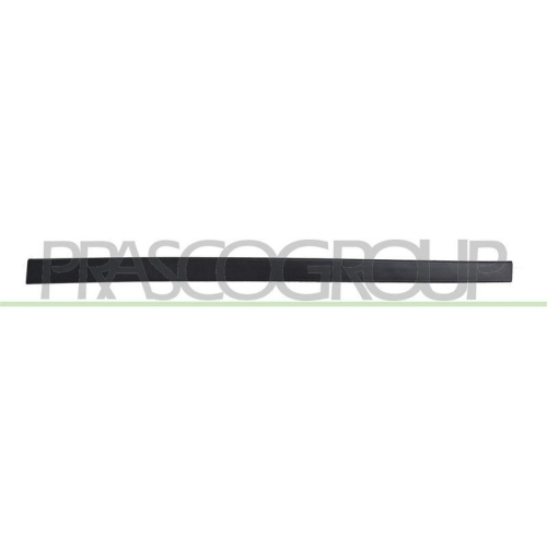 PRASCO Zier-/Schutzleiste, T&uuml;r HN8061403
