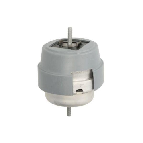 REINHOCH Lagerung, Motor RH11-0063
