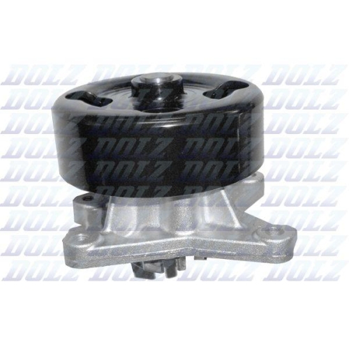 DOLZ Wasserpumpe, Motork&uuml;hlung