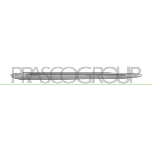 PRASCO Zier-/Schutzleiste, Sto&szlig;f&auml;nger OP4221244