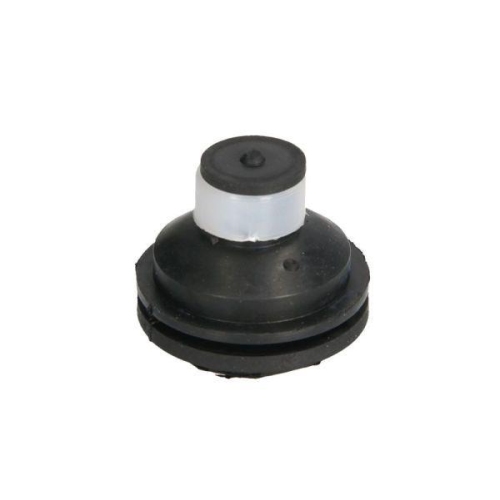 REINHOCH Lagerung, Motor RH11-2109