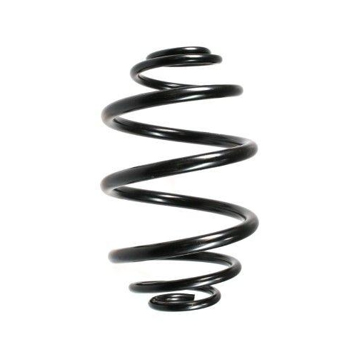 SPIDAN Fahrwerksfeder 48720