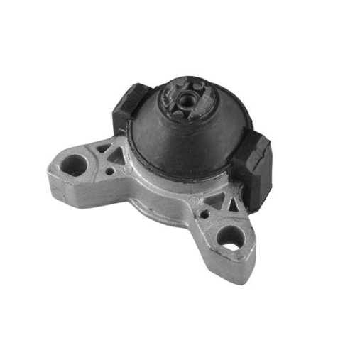 TEDGUM Lagerung, Motor