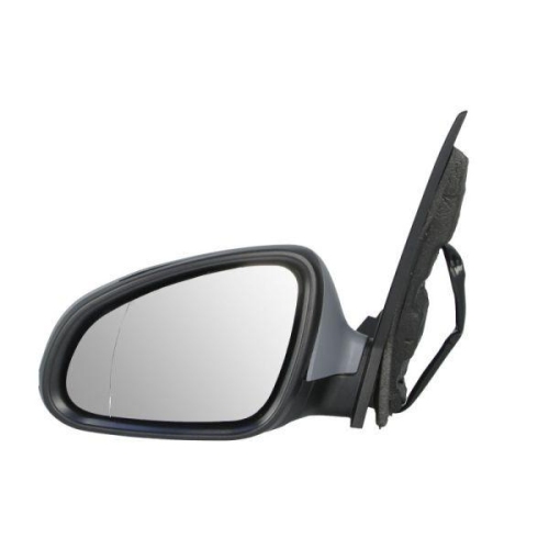 BLIC Au&szlig;enspiegel 5402-04-1121595P