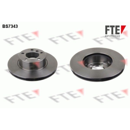 FTE Bremsscheibe 9071036