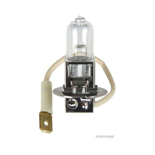HERTH+BUSS ELPARTS Gl&uuml;hlampe, Fernscheinwerfer 89901053