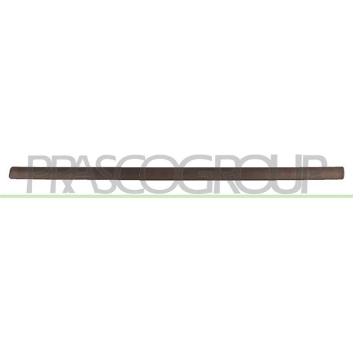 PRASCO Zier-/Schutzleiste, T&uuml;r OP3501403