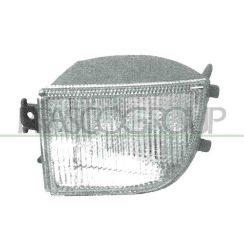 PRASCO Blinkleuchte VG0514314