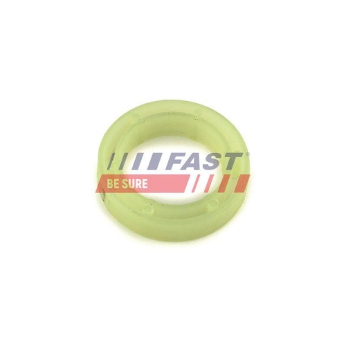 FAST Dichtring, D&uuml;senschacht FT49844