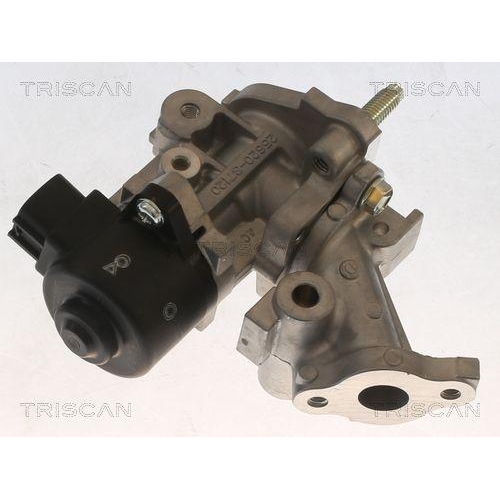 TRISCAN AGR-Ventil 8813 13067