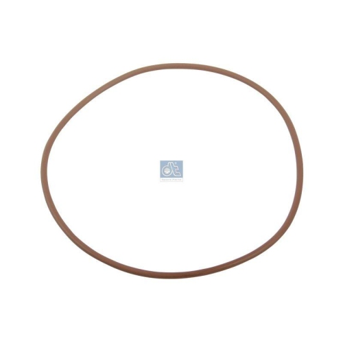 DT Spare Parts Dichtring 7.60161