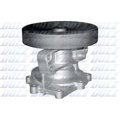 DOLZ Wasserpumpe, Motorkühlung