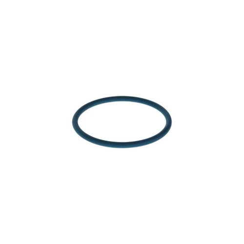 BOSCH Gummiring F 00N 204 108