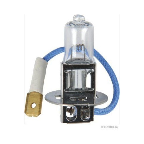 HERTH+BUSS ELPARTS Gl&uuml;hlampe 89901095