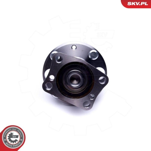 ESEN SKV Radlagersatz 29SKV414