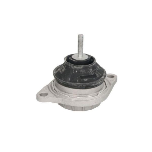 REINHOCH Lagerung, Motor RH11-0120