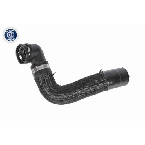 VAICO K&uuml;hlerschlauch Q+, Erstausr&uuml;sterqualit&auml;t V24-1109