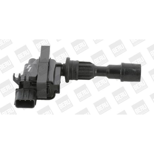 BorgWarner (BERU) Z&uuml;ndspule ZSE190