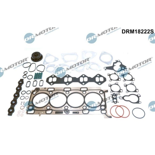 Dr.Motor Automotive Dichtungsvollsatz, Motor
