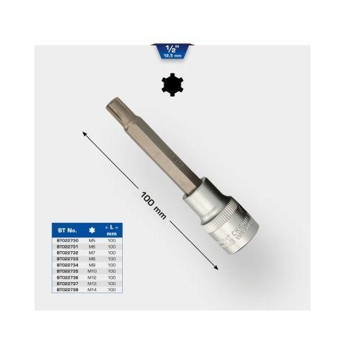 1/2 Zoll RIBE-Bit-Stecknuss, 100 mm lang, M14 BRILLIANT TOOLS BT022738