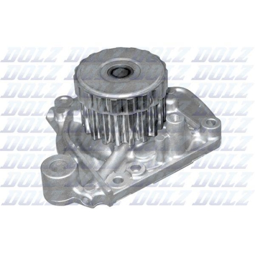 DOLZ Wasserpumpe, Motork&uuml;hlung