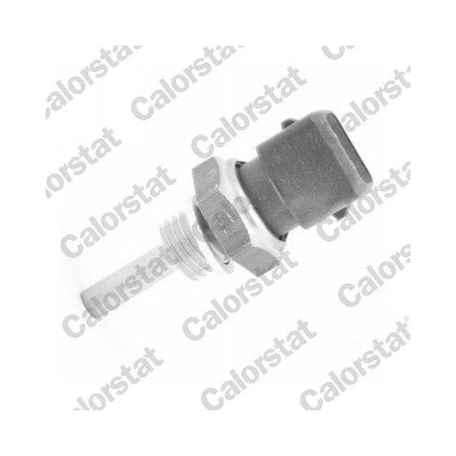 CALORSTAT by Vernet Sensor, K&uuml;hlmitteltemperatur WS3002