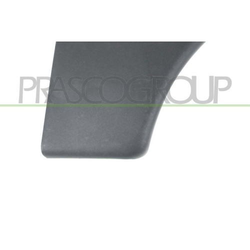 PRASCO Zier-/Schutzleiste, Kotfl&uuml;gel CI9151401