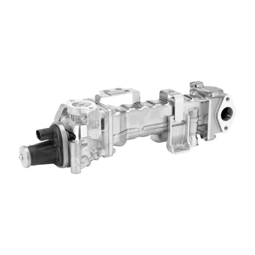 BorgWarner AGR-Modul OE-Version/Erstausr&uuml;stung 749012D0