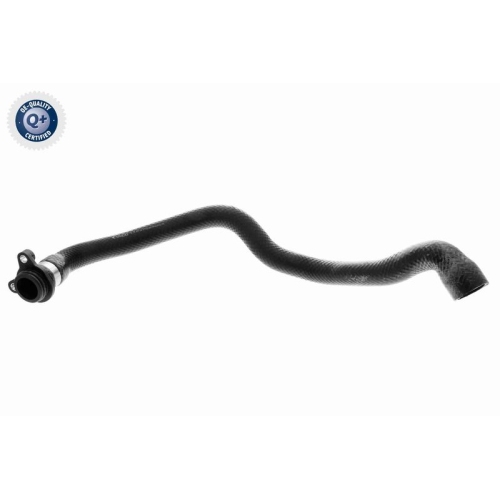 VAICO Kühlerschlauch Q+, Erstausrüsterqualität V20-2412