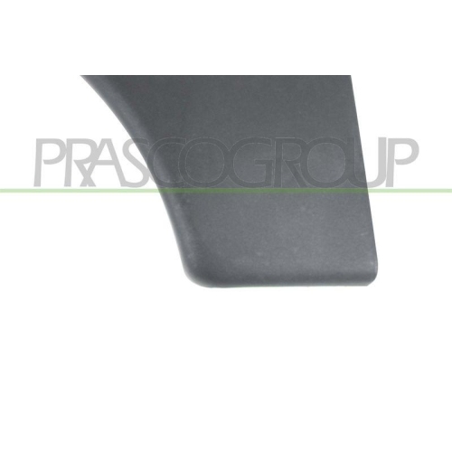 PRASCO Zier-/Schutzleiste, T&uuml;r CI9151402