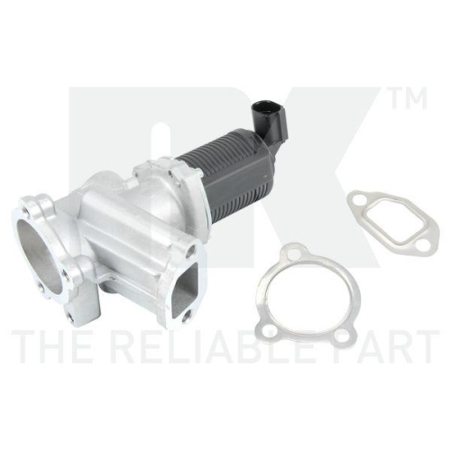 NK AGR-Ventil 4599021