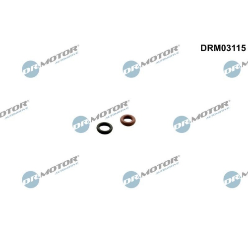 Dr.Motor Automotive Dichtungssatz, Einspritzd&uuml;se DRM03115
