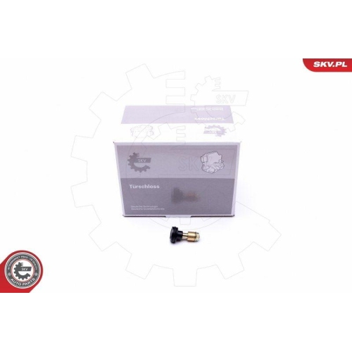 ESEN SKV Rollenf&uuml;hrung, Schiebet&uuml;r