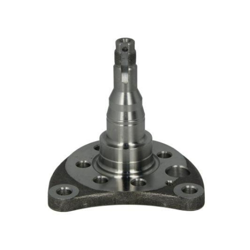 BTA Achszapfen, Achskörper H5W007BTA