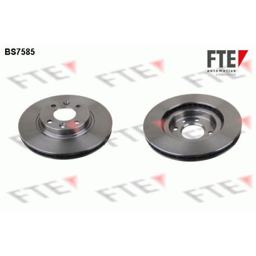 FTE Bremsscheibe 9072036